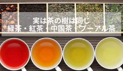 日本茶・緑茶とは？紅茶・中国茶・プーアル茶との違い